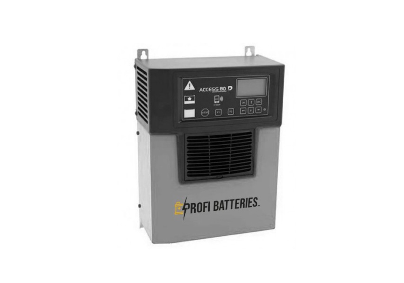 Micropower Access 80 48V 100 Ah